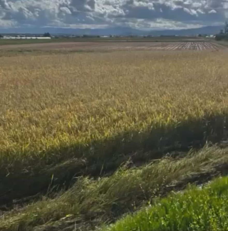家族で農業を営むENDO FARMの日々